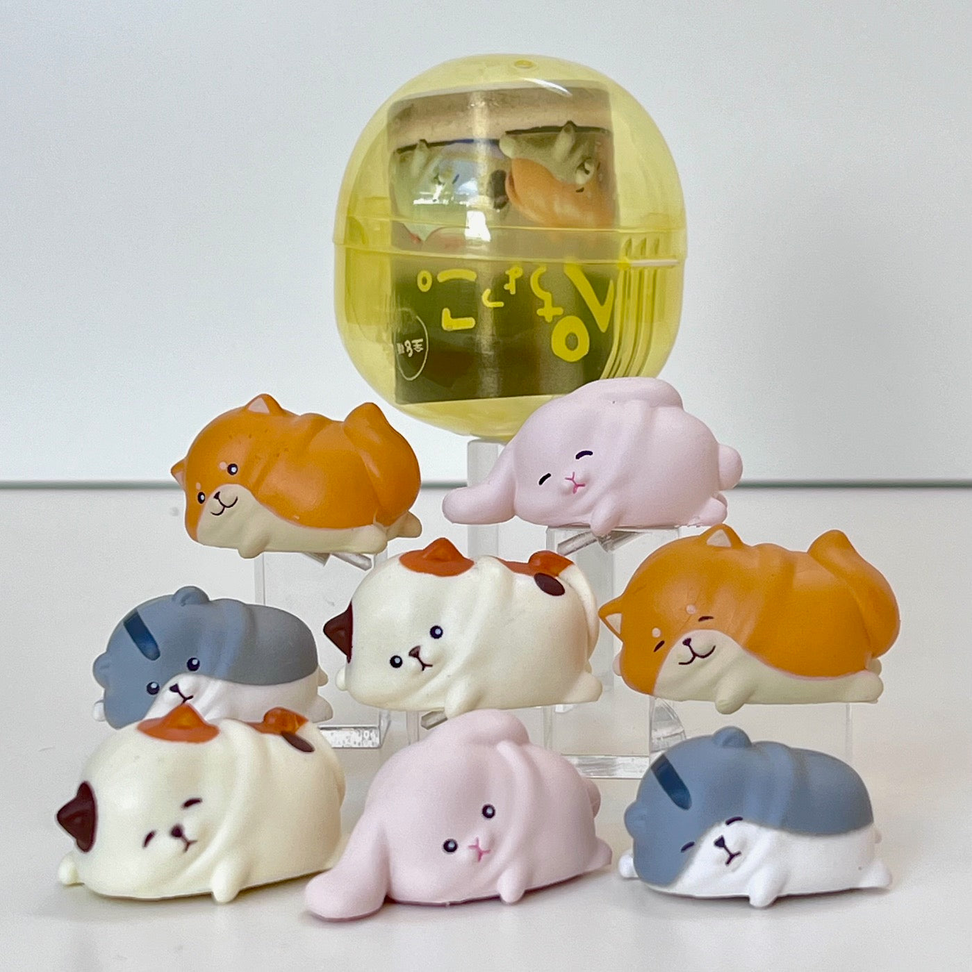 70398 Relax Animals Capsule-8