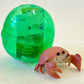 70303 Cable Crab Figurine Capsule-5