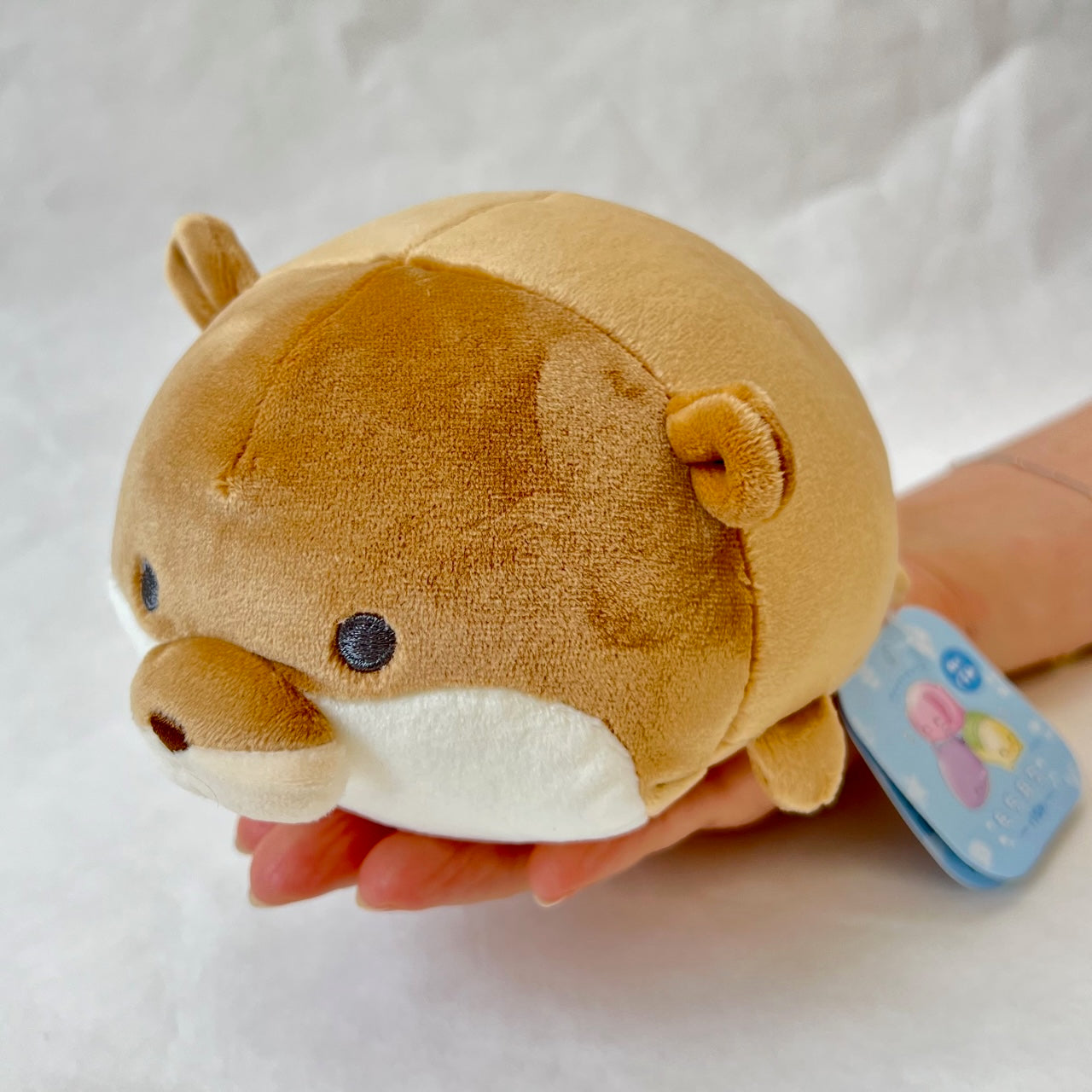 63411 ROUND SEALIFE ANIMALS PLUSH-10 – BCmini