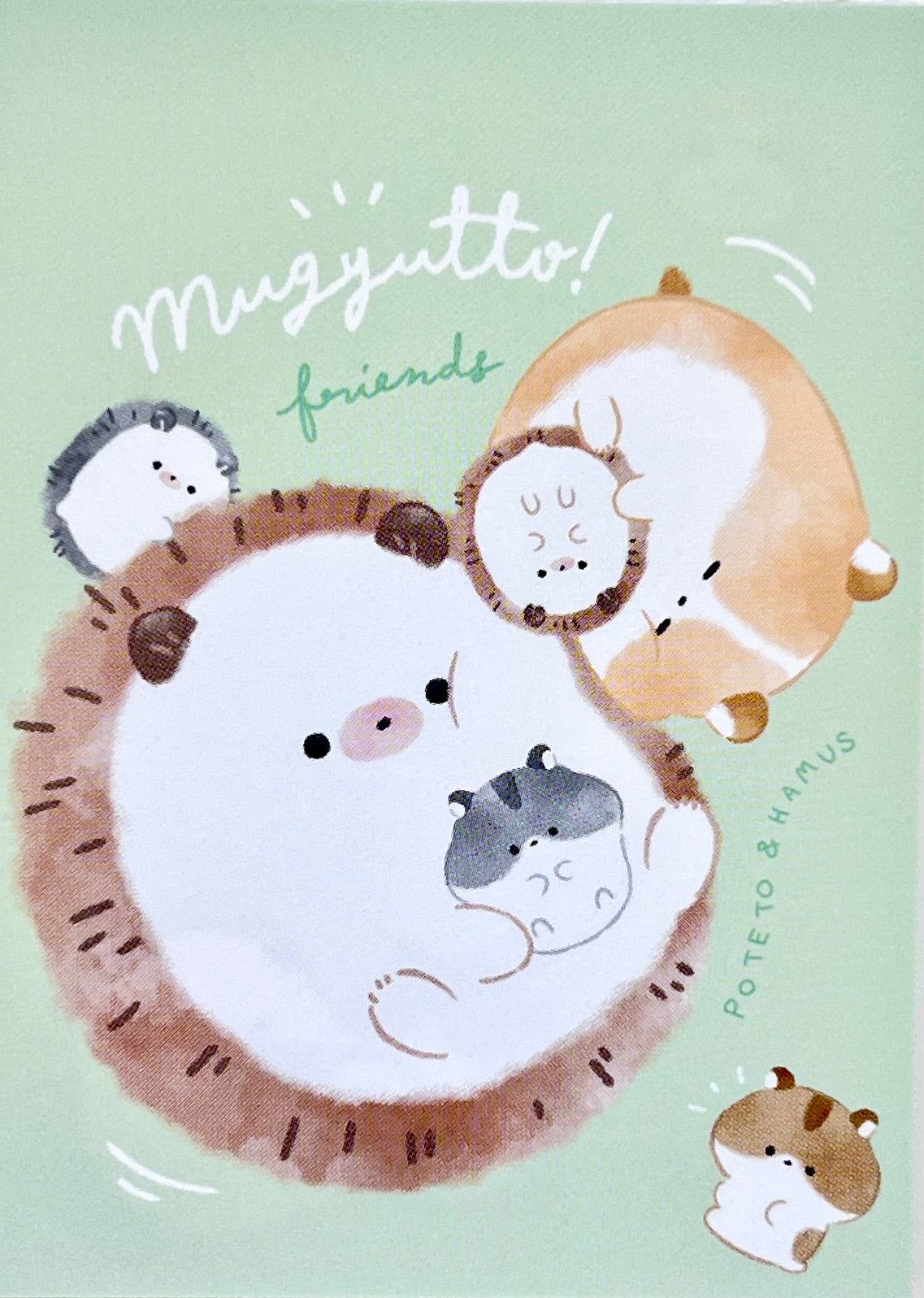 80080 Q-Lia Hedgehog and Hamster Mugyutto Mini Notepad-10