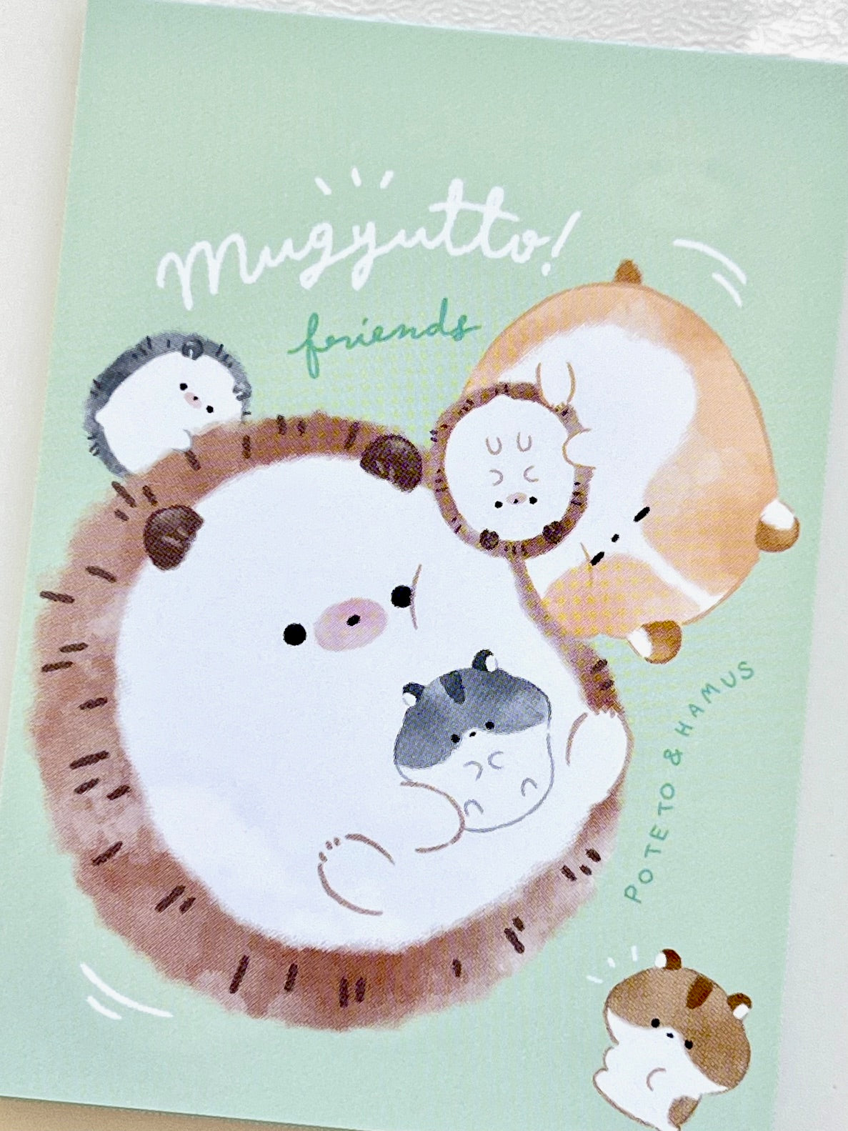 80080 Q-Lia Hedgehog and Hamster Mugyutto Mini Notepad-10