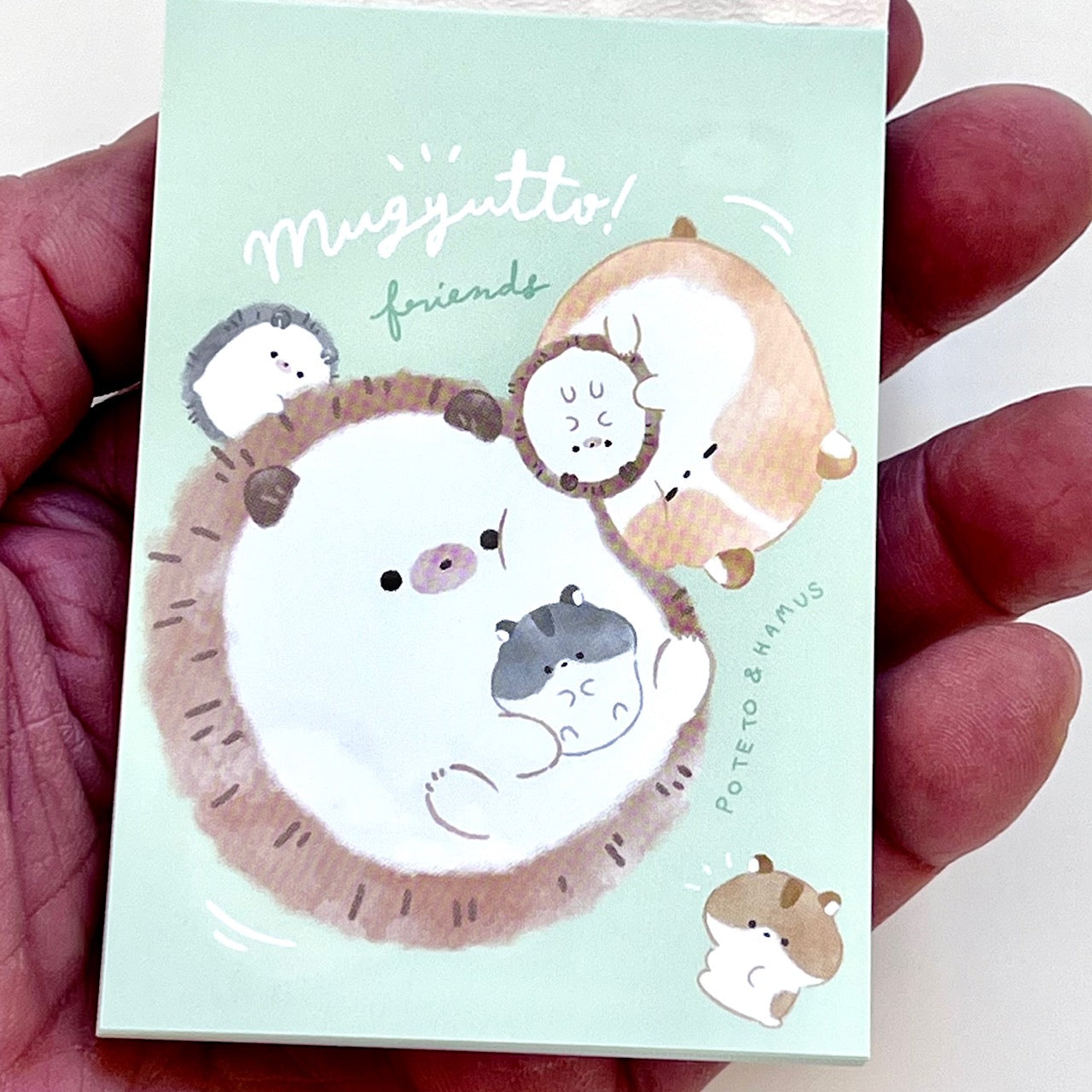 80080 Q-Lia Hedgehog and Hamster Mugyutto Mini Notepad-10