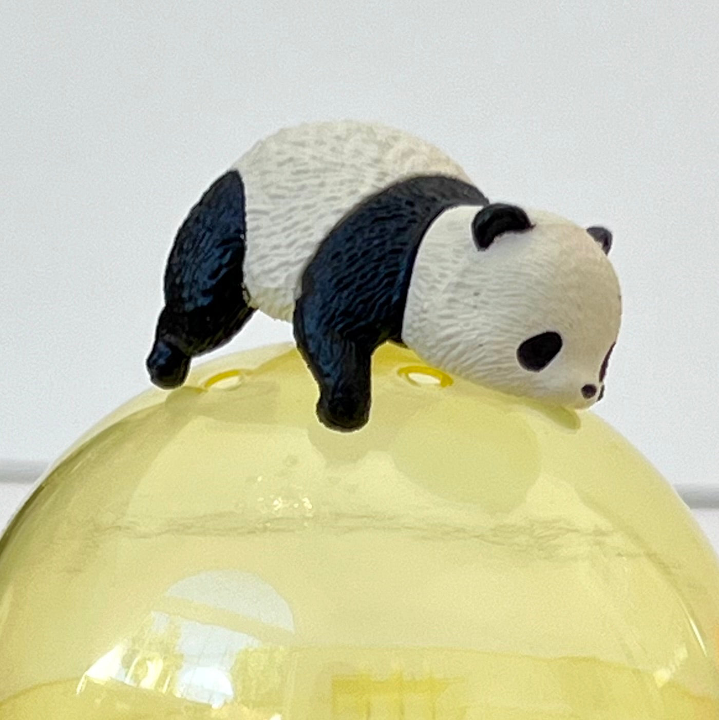 70415 Resting Panda Capsule-5