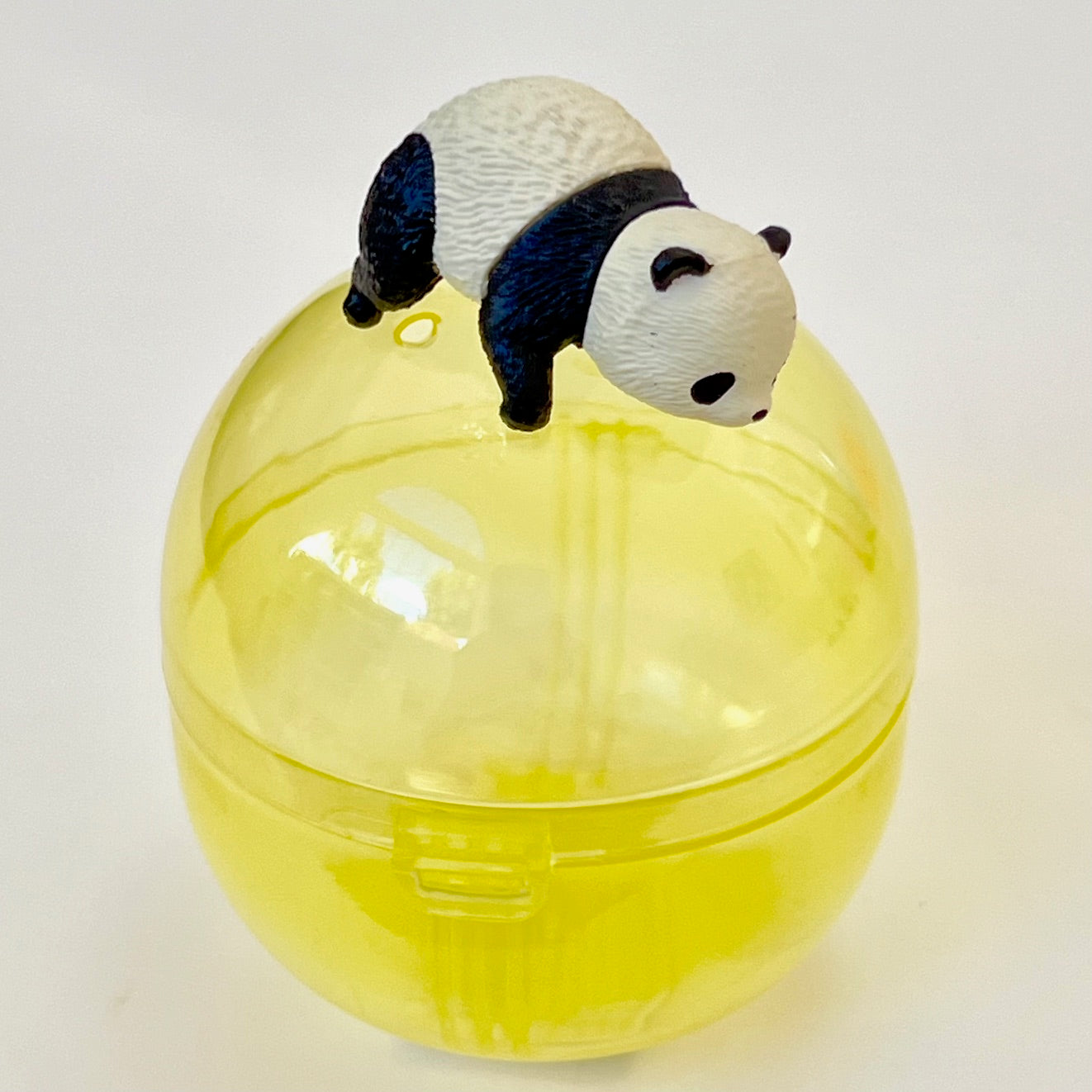 70415 Resting Panda Capsule-5