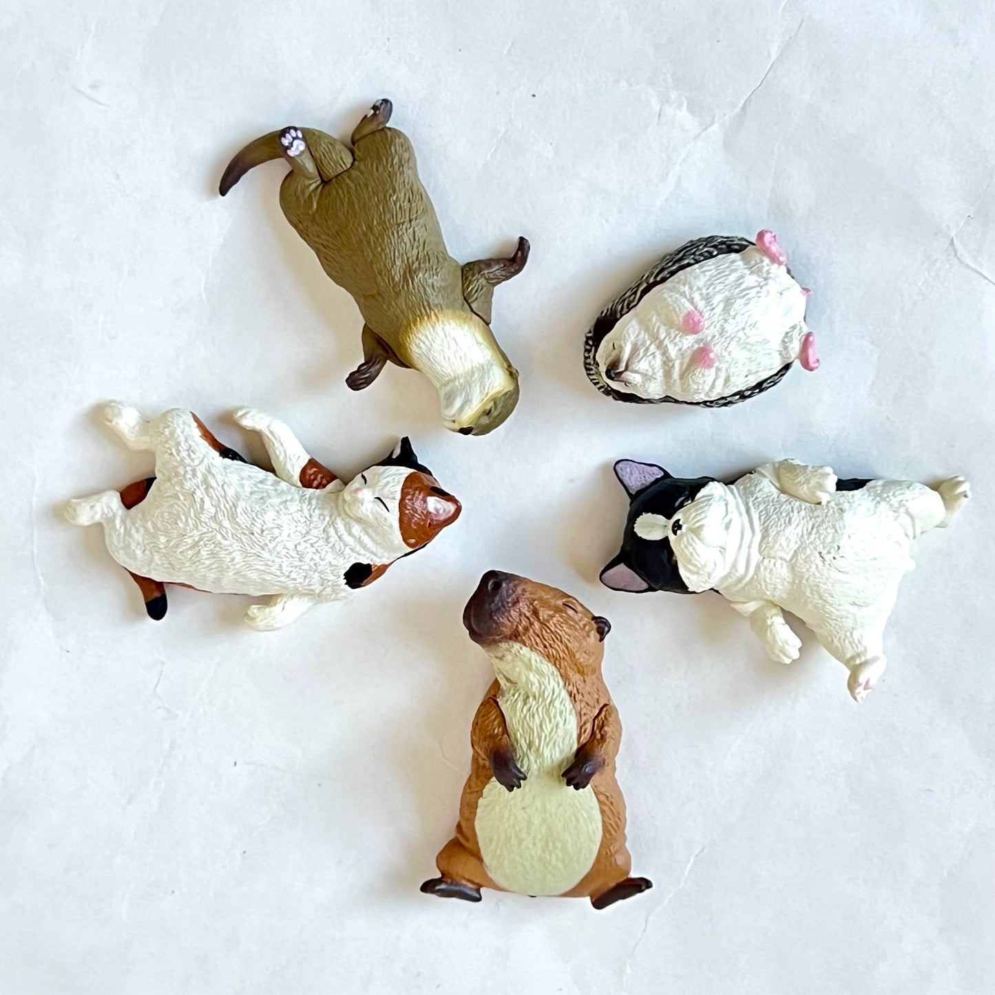 70289 Sleeping Animals Figurines Capsule-5