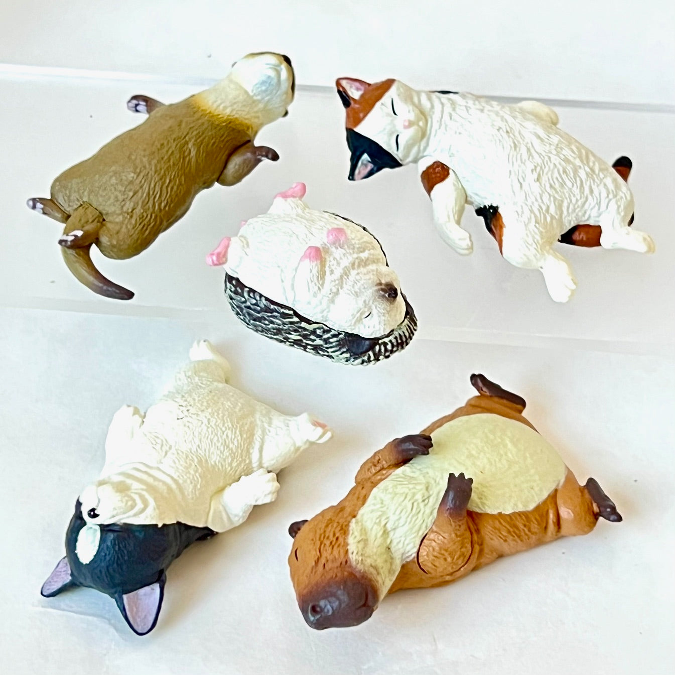 70289 Sleeping Animals Figurines Capsule-5