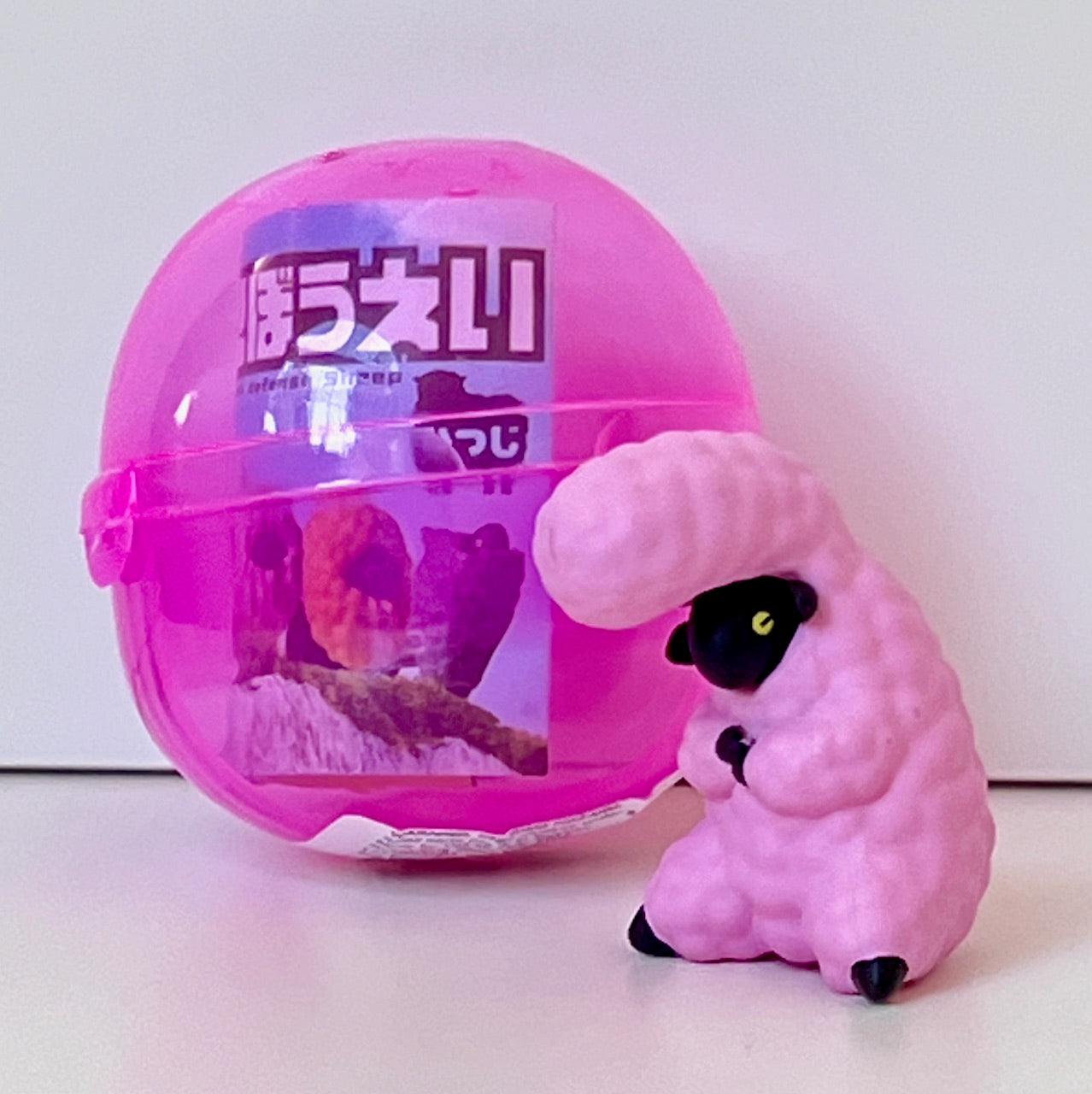 70404 - Sheep Animals Capsule - 6