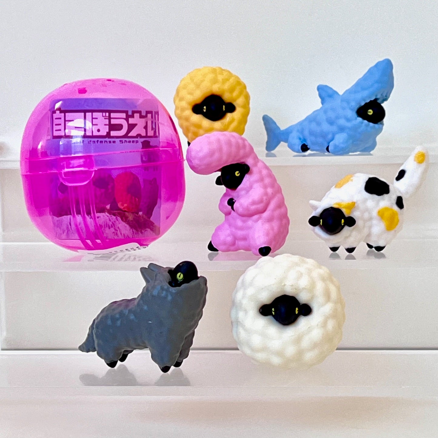 70404 - Sheep Animals Capsule - 6