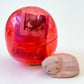 70362 Polygon Cat Figurine Capsule-6