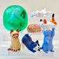 70362 Polygon Cat Figurine Capsule-6