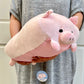 63405 PIG PILLOW PLUSH-3