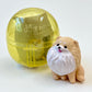 70356 Sitting Dogs Figurine Capsule-5