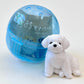 70356 Sitting Dogs Figurine Capsule-5