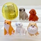 70356 Sitting Dogs Figurine Capsule-5