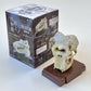 73001 Fossil Blind Box-6