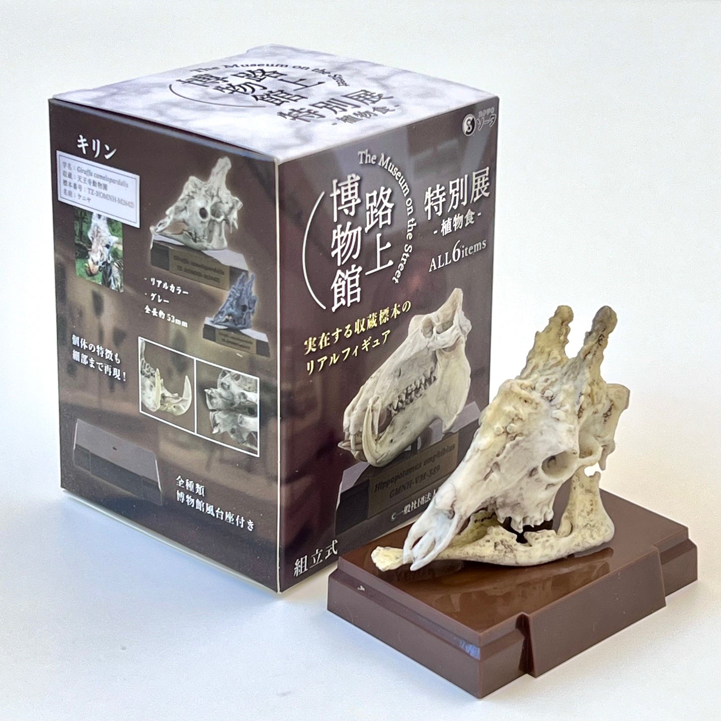 73001 Fossil Blind Box-6