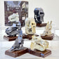 73001 Fossil Blind Box-6