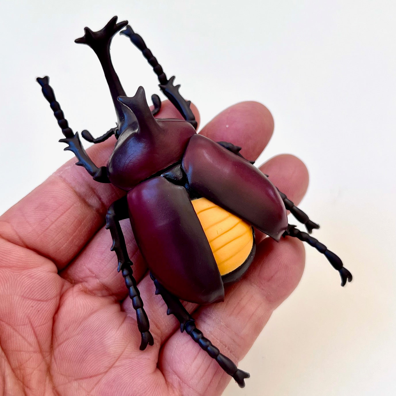 70791 Modeling Beetles Blind Box-8