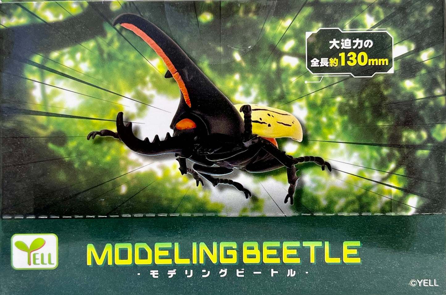 70791 Modeling Beetles Blind Box-8