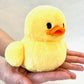 63452 DUCKLING PLUSH-8