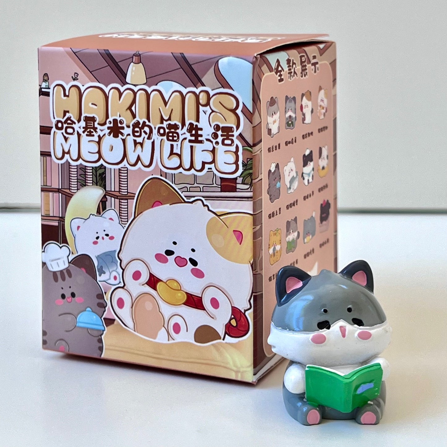 71019 KITTEN HAKIMI'S MEOW LIFE CAT FIGURINE BLIND BOX-12