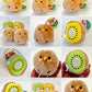 63384 KIWI PLUSH CHARM-6