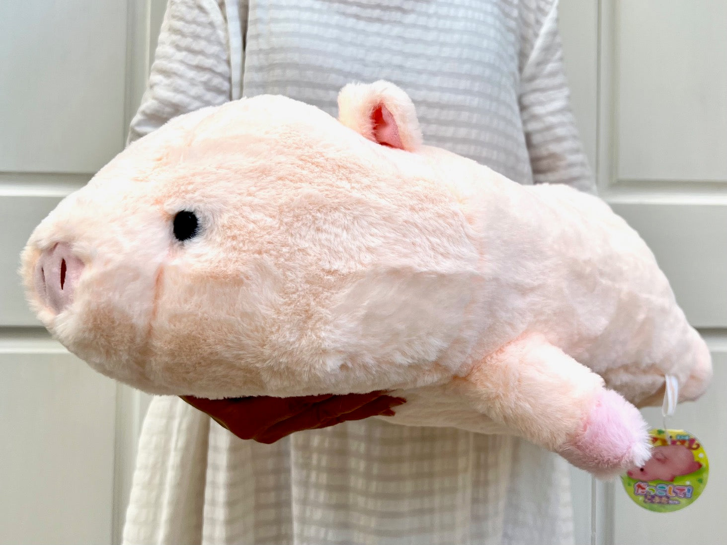 634102 JUMBO PIG PLUSH-3 – BCmini