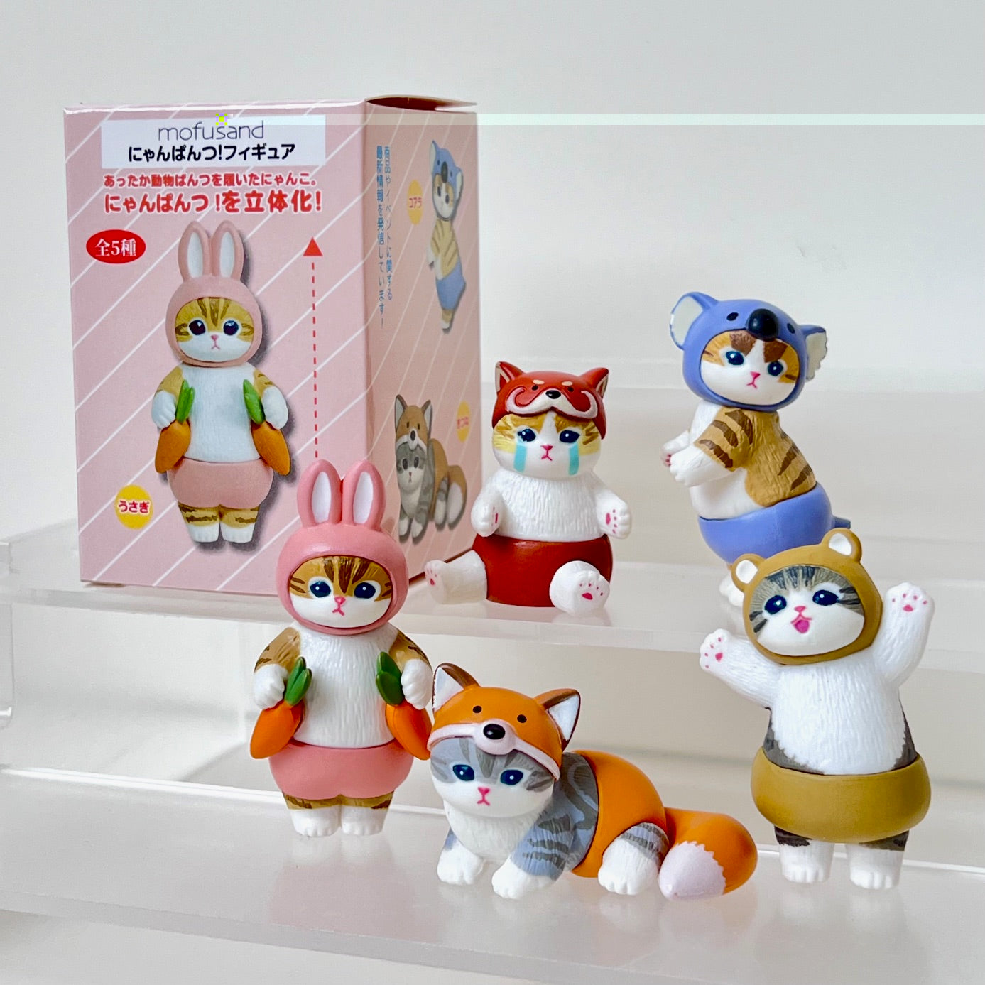 X 73024 Costume Cats Blind Box-DISCONTINUED