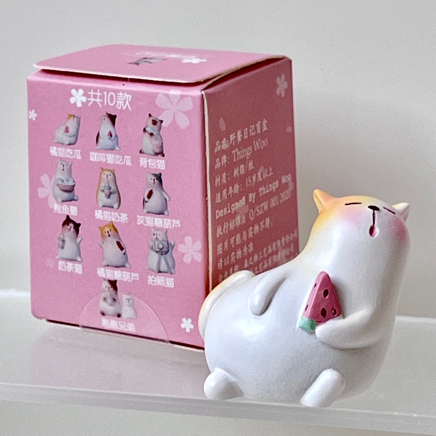 71036 Cat Picnic Blind Box-10