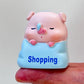 71038 Piggy Diary Blind Box-8