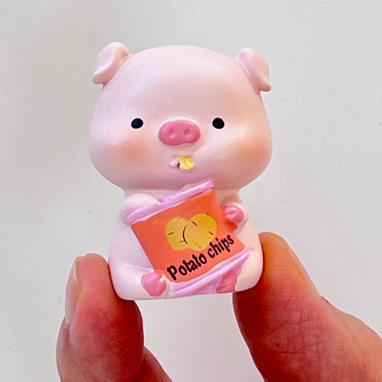 71038 Piggy Diary Blind Box-8