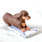 70786 Cleaning Dogs Blind Box-10