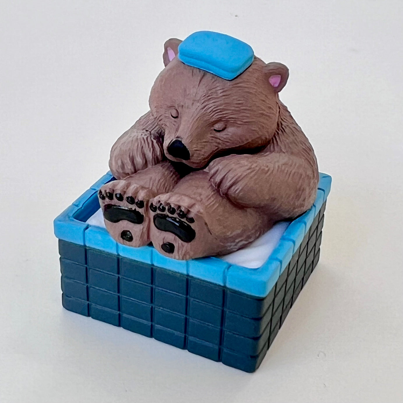 73056 Hot Spring Animals Blind Box-10 – BCmini