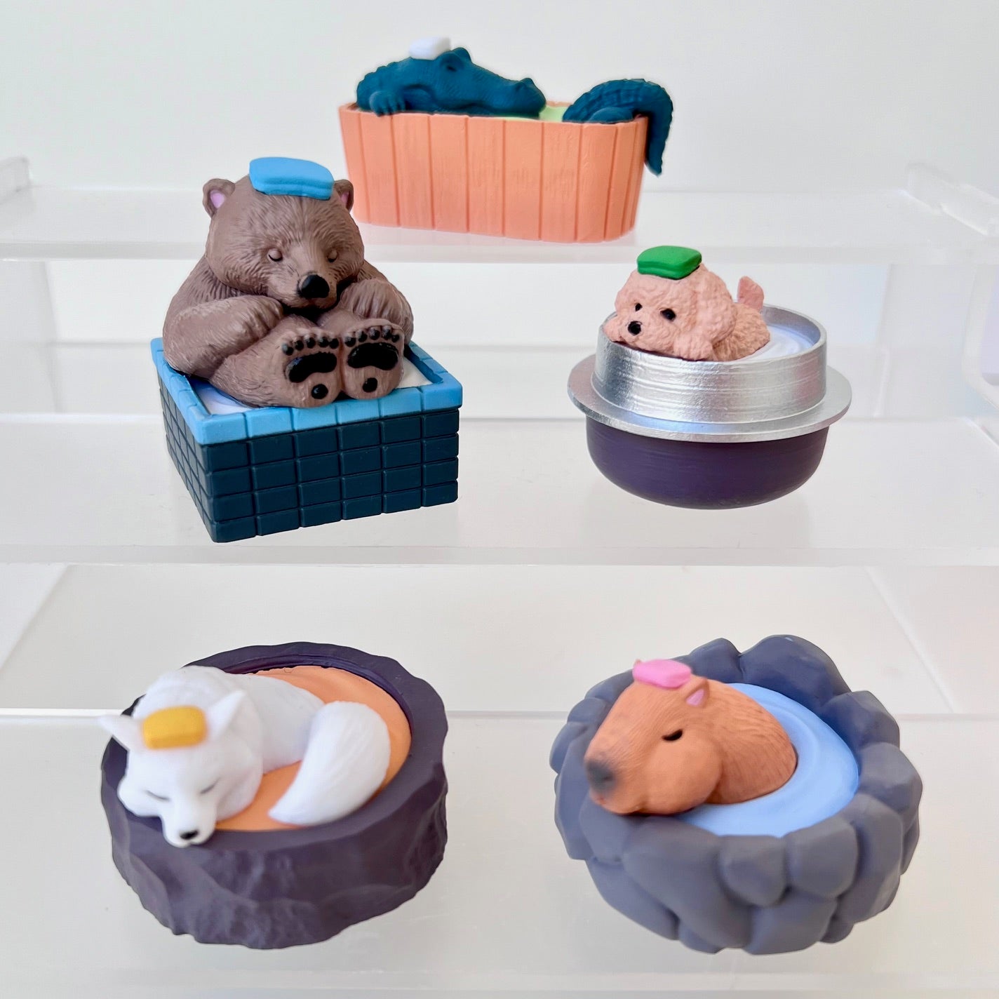 73056 Hot Spring Animals Blind Box-10 – BCmini