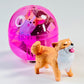 70478 Happy Dogs Figurine Capsule-5