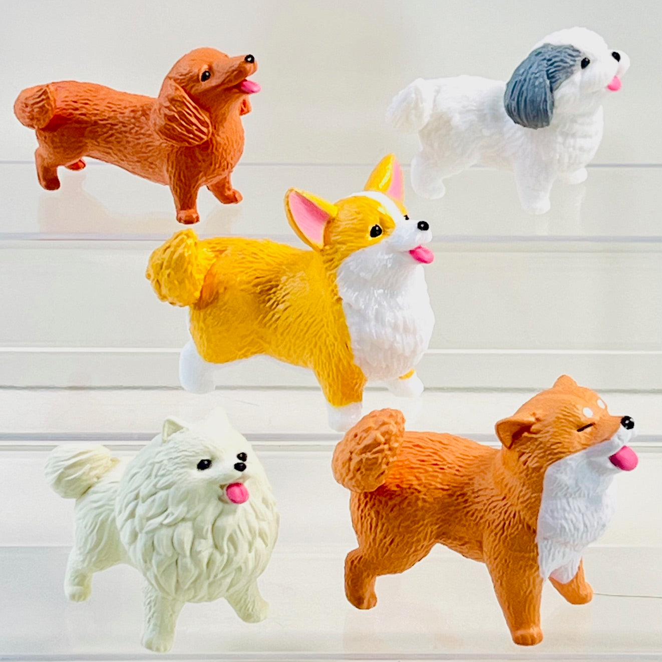 70478 Happy Dogs Figurine Capsule-5