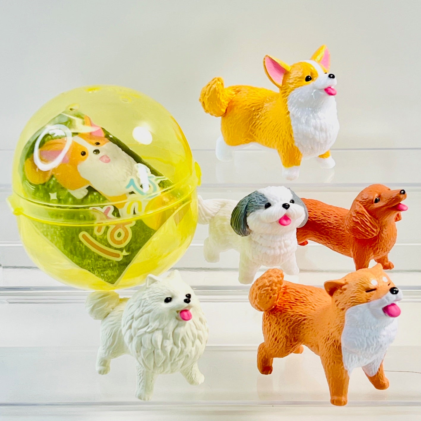 70478 Happy Dogs Figurine Capsule-5