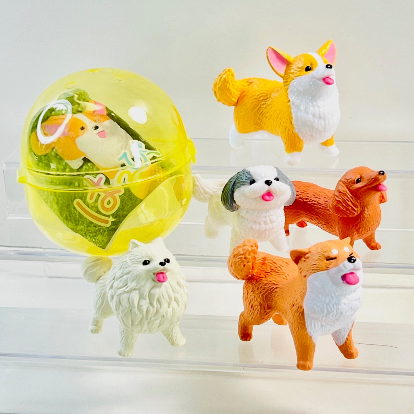 70478 Happy Dogs Figurine Capsule-5