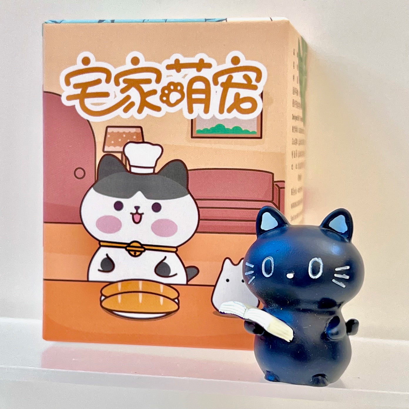 71031 House Cats Blind Box-6