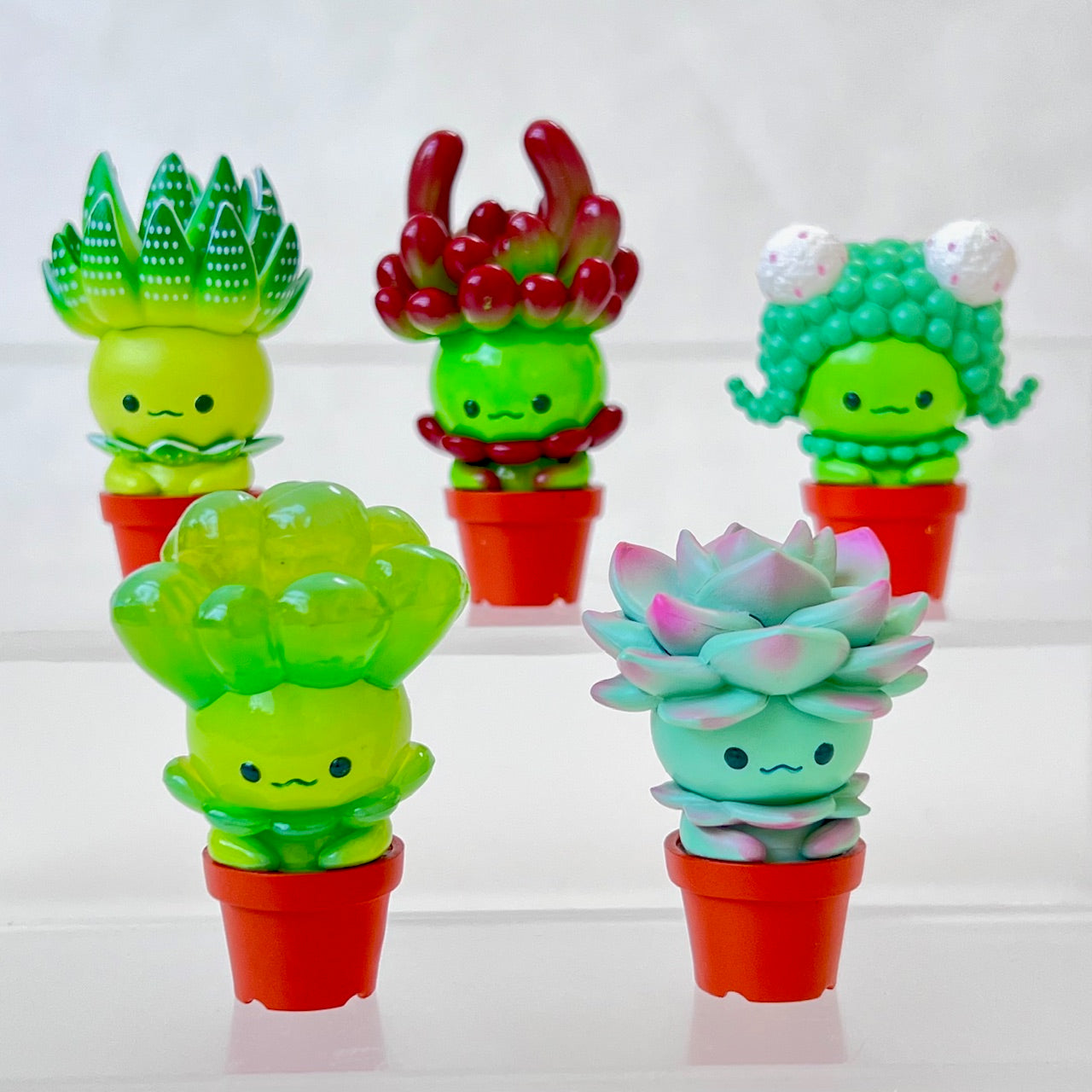 70330 Succulent Plants Figurine Capsule-5