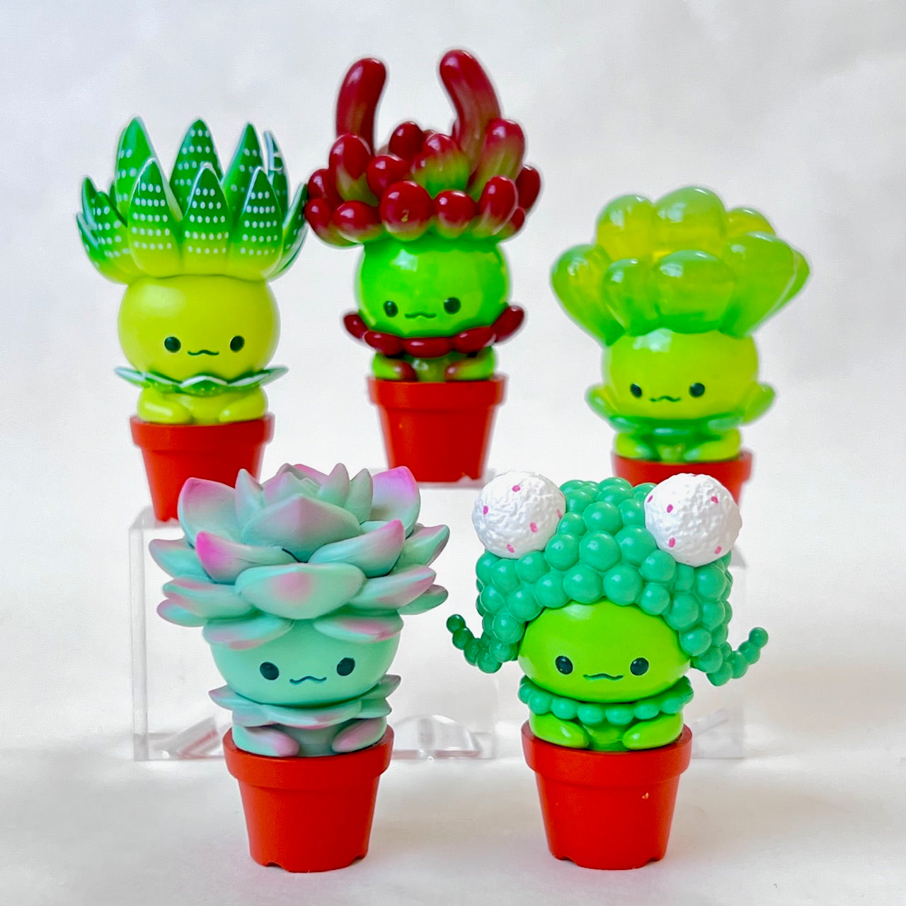 70330 Succulent Plants Figurine Capsule-5