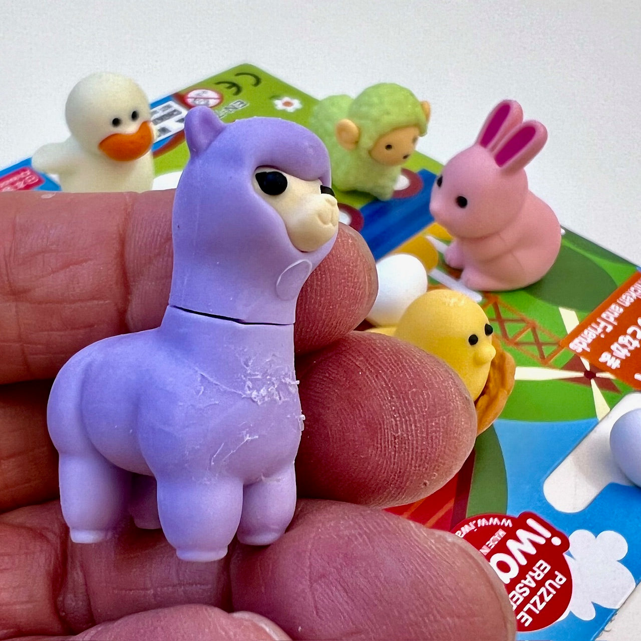 38376 CHICKEN AND FRIENDS ERASER CARD-10 CARDS