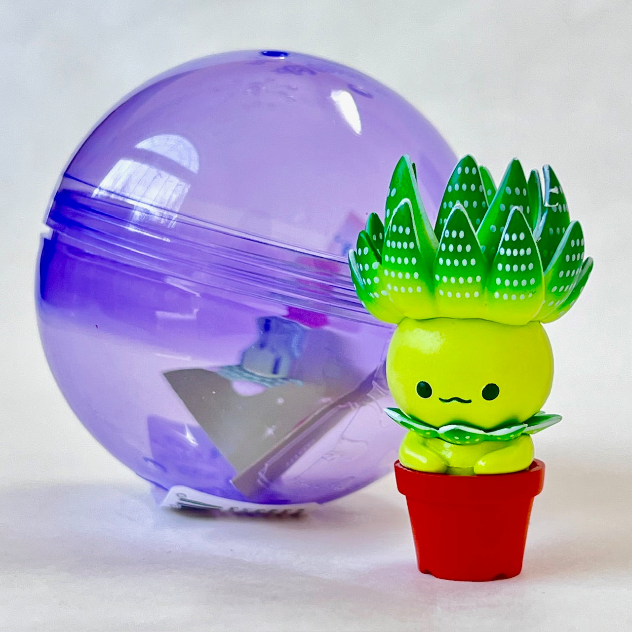 70330 Succulent Plants Figurine Capsule-5