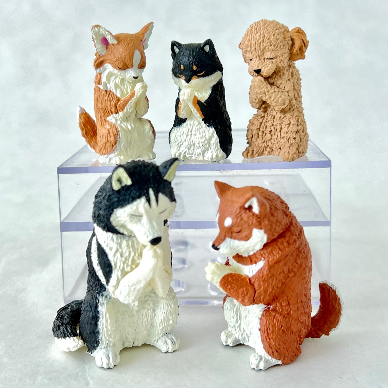 PETSHOP CHIEN HUSKY N°68 / AVEC AIMANT PETSHOP CHIEN HUSKY N°68 / AVEC AIMANT