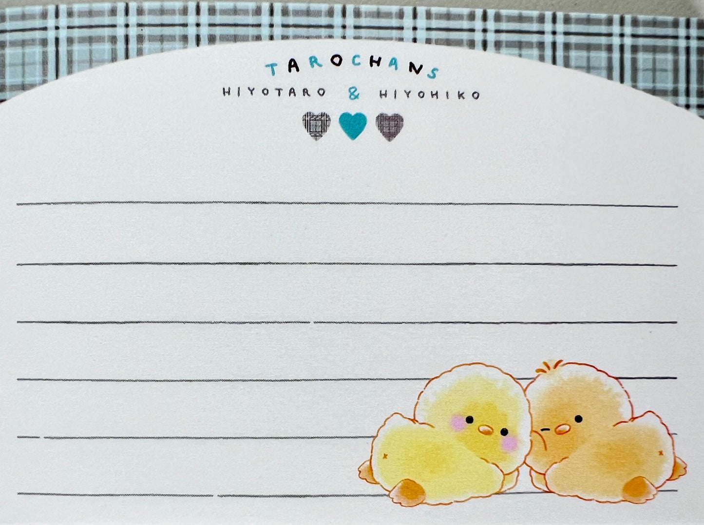 119787 Duck Hug Mini Notepad-10