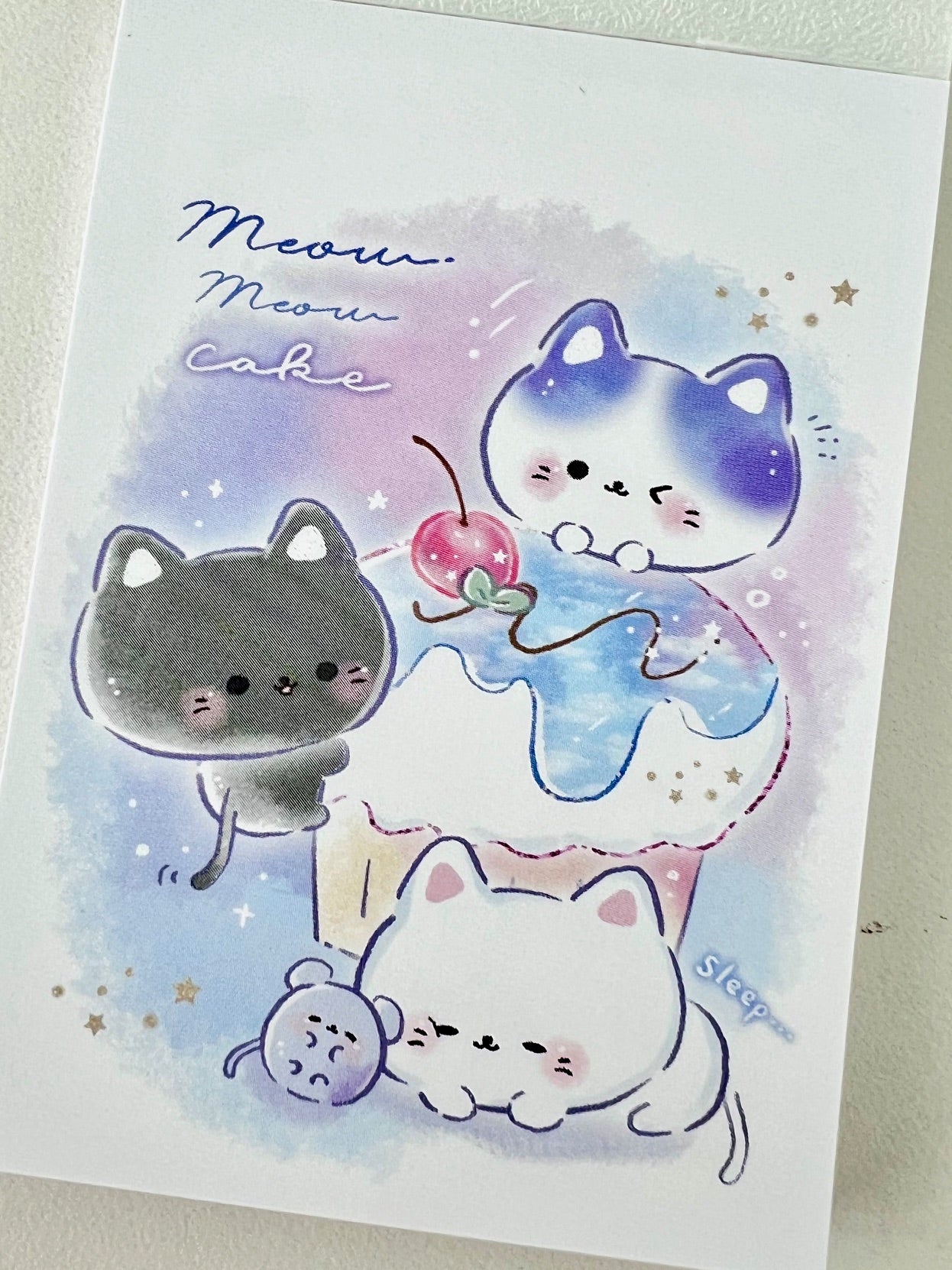 120363 Cat Mini Notepad-10