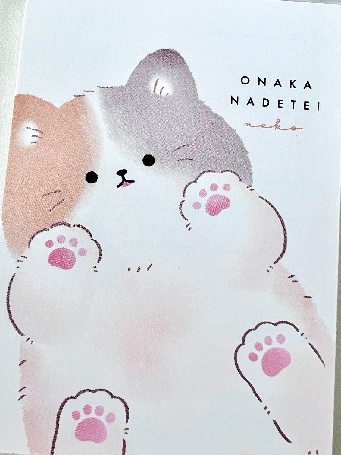 120776 Kitten Cat Paw Onaka Nadetei Mini Notepad-10