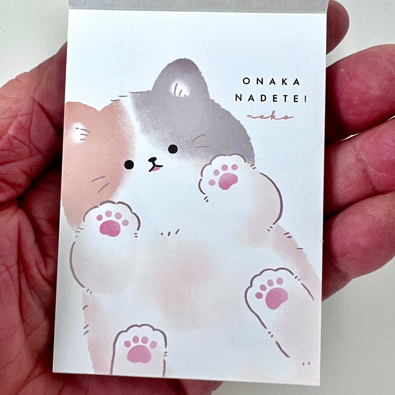 120776 Kitten Cat Paw Onaka Nadetei Mini Notepad-10