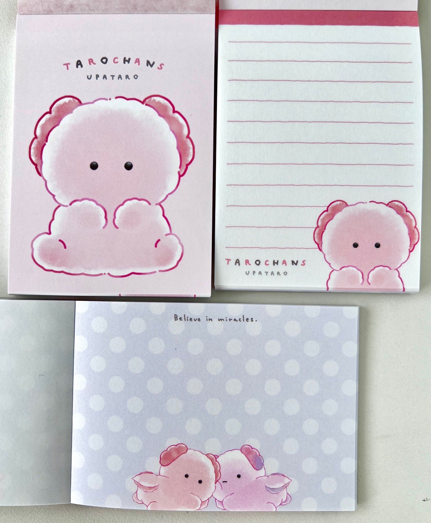 120803 Axolotl Wooper Looper Mini Note Pad-10