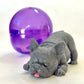 70298 French Bulldog Figurine Capsule-5